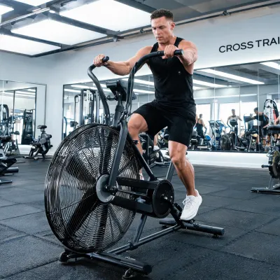 assault air bike